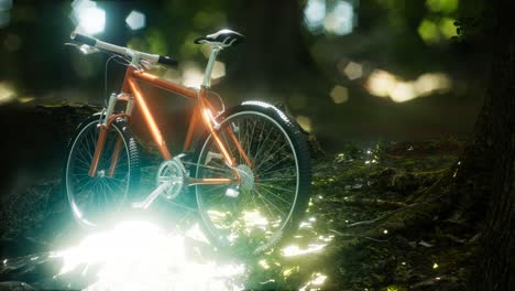 Mountain-bike-on-the-forest-path
